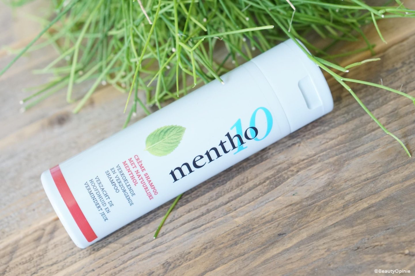 Review Mentho10 shampoo